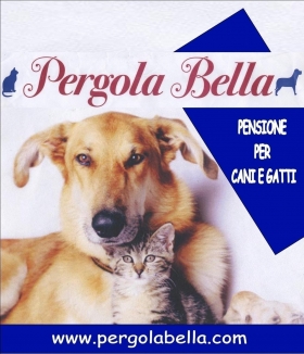 Benvenuti alla pensione per cani e gatti, "Pergola Bella". BOX RISCALDATI ! - Pergola Bella