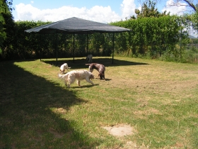  - Pergola Bella